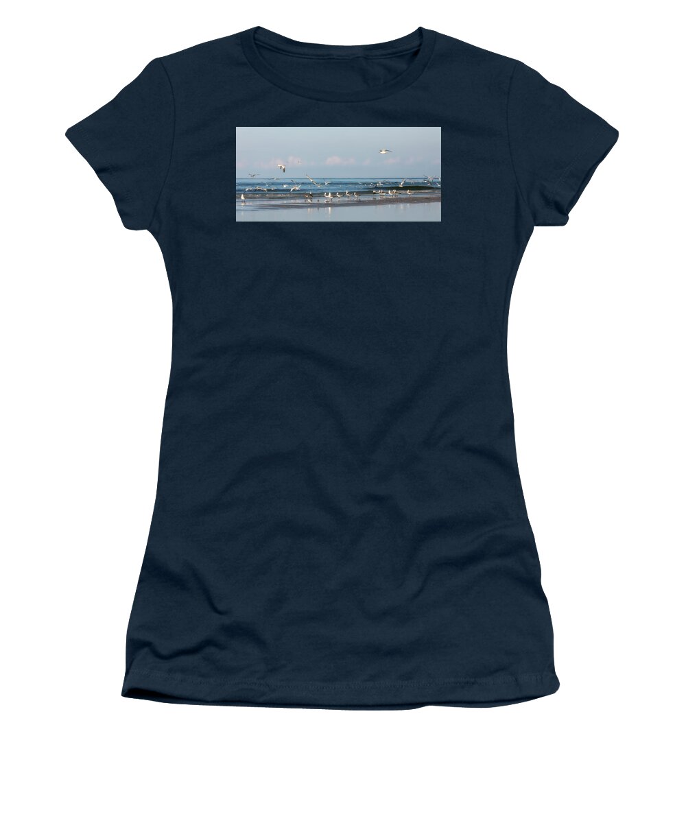 Gulls Women's T-Shirt featuring the photograph Gulls and Terns on the Beach by Lisa Malecki