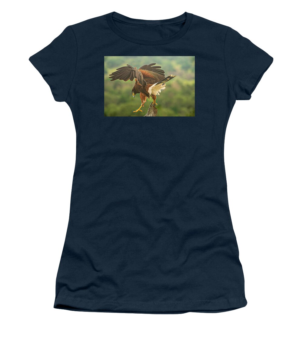 Bird Women's T-Shirt featuring the photograph Harris Hawk Landing by Peggy Blackwell