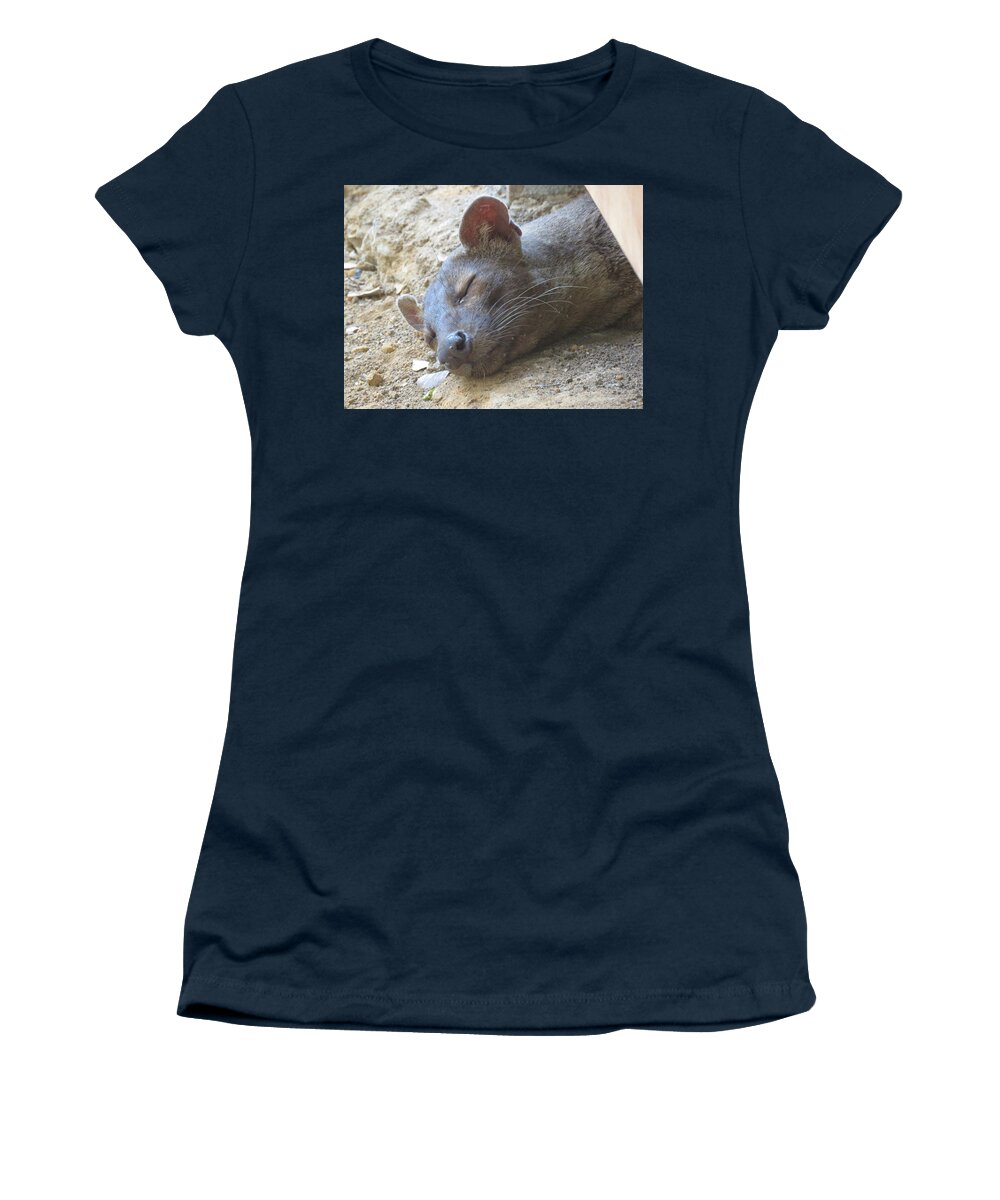  Women's T-Shirt featuring the photograph Having a Nap by Eric Pengelly