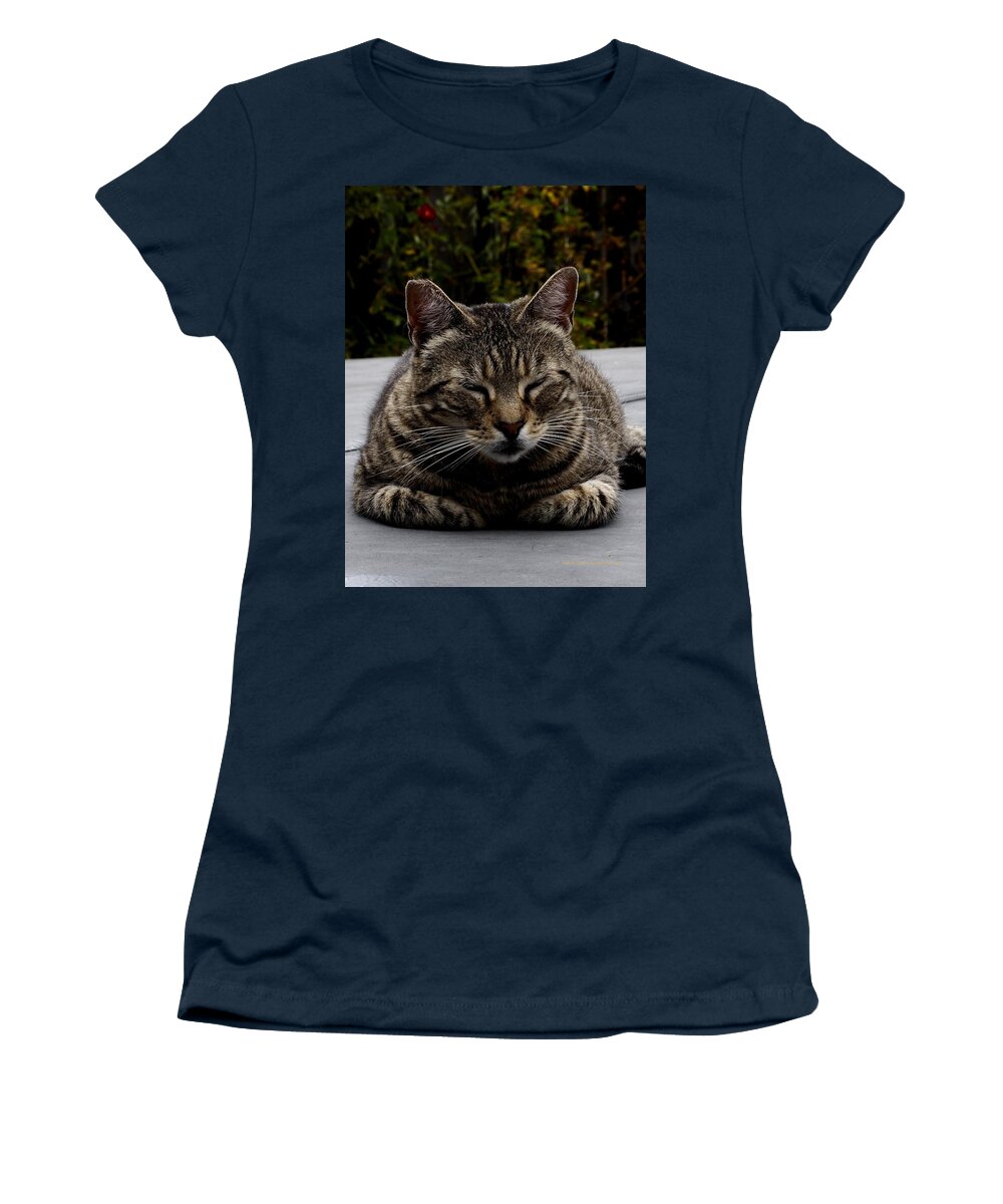 Animal Women's T-Shirt featuring the photograph Hot Tub Cat by Richard Thomas