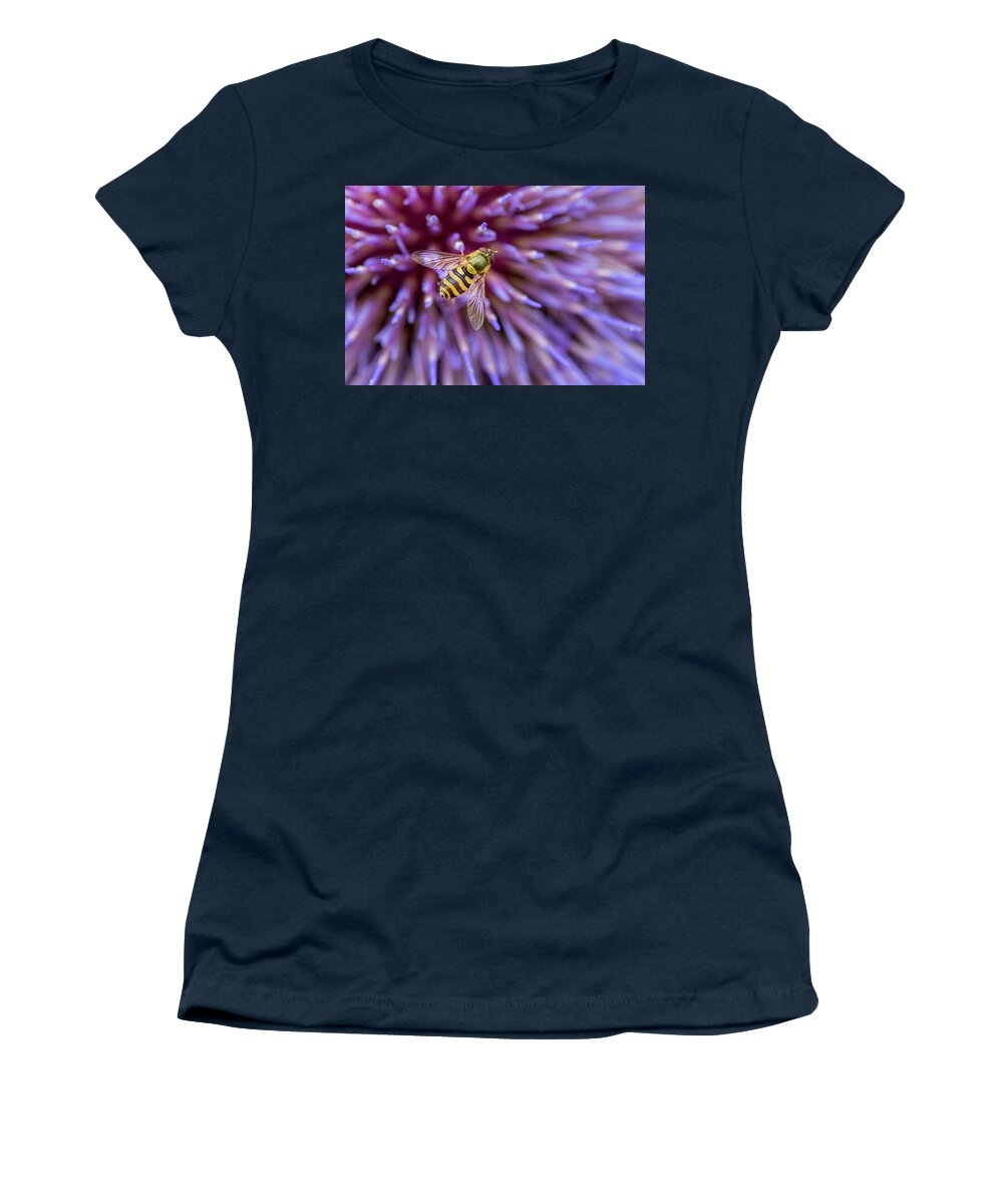 Macro Women's T-Shirt featuring the photograph Hoverfly Resting on a Giant Purple Thistle by Anita Nicholson