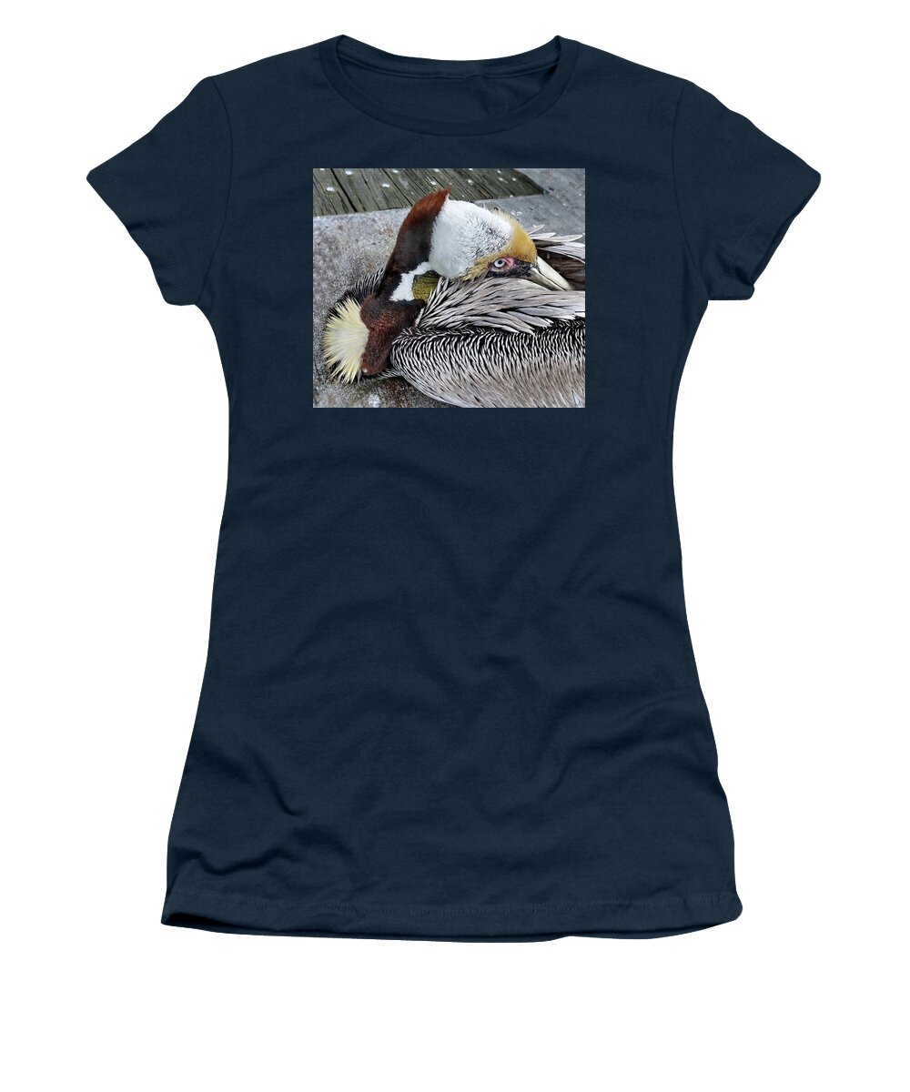 Brown Pelican Women's T-Shirt featuring the photograph I am not Sleeping by Lyuba Filatova