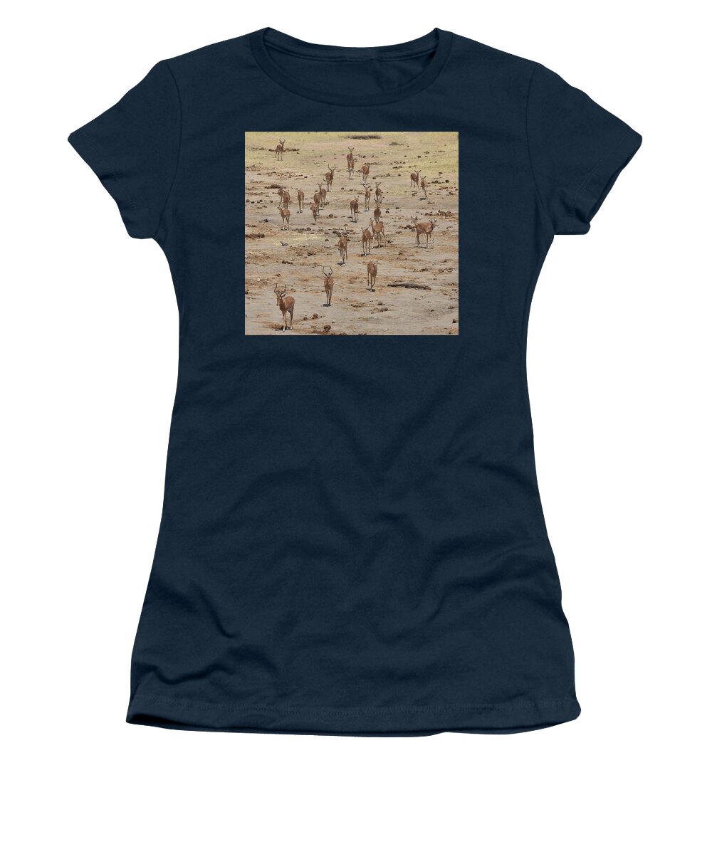 Impala Women's T-Shirt featuring the photograph Impala Coming to Water by Ben Foster