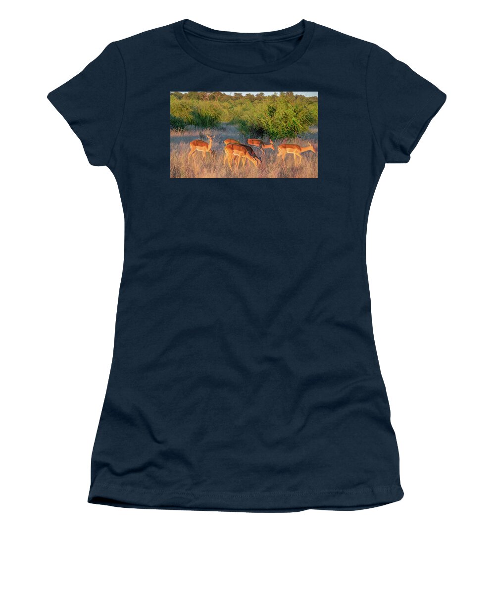 Impala Women's T-Shirt featuring the photograph Impalas of Botswana, Painterly by Marcy Wielfaert