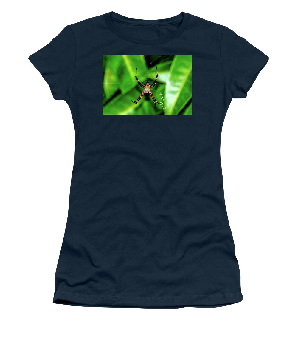 Spider Women's T-Shirt featuring the photograph Just Hanging by John Bauer