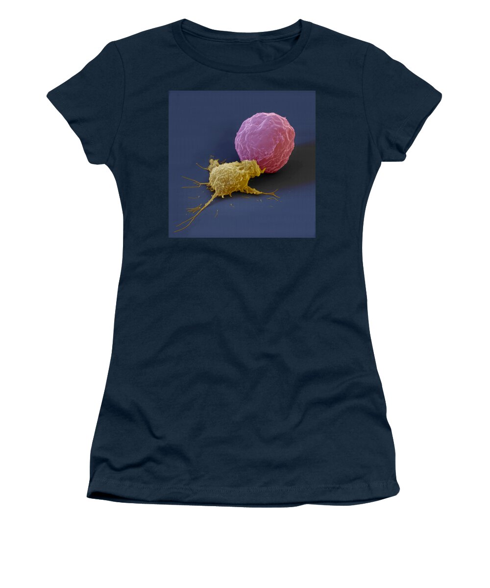 Antigen Women's T-Shirt featuring the photograph Killer Cell And Cancer Cell by Meckes/ottawa