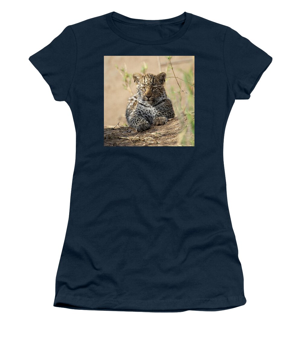 Leopard Women's T-Shirt featuring the photograph Leopard Cub resting by Patrick Nowotny