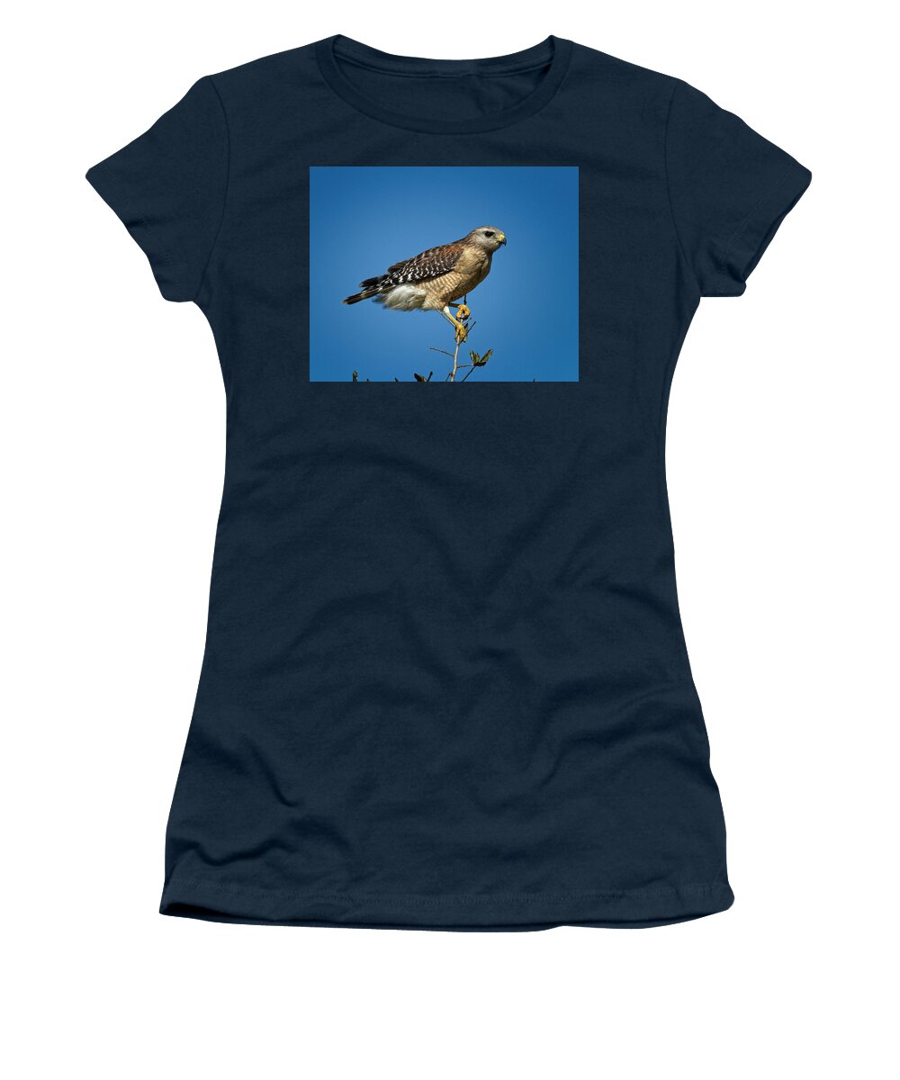 Young Women's T-Shirt featuring the photograph Looking For Prey by Ronald Lutz