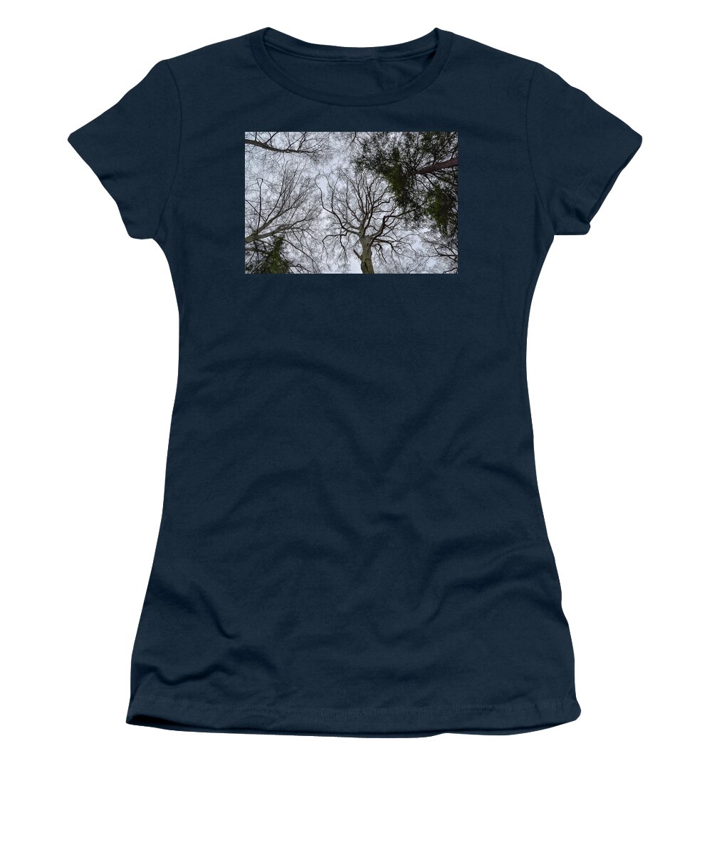 Looking Up Women's T-Shirt featuring the photograph Looking Up by Michelle Wittensoldner