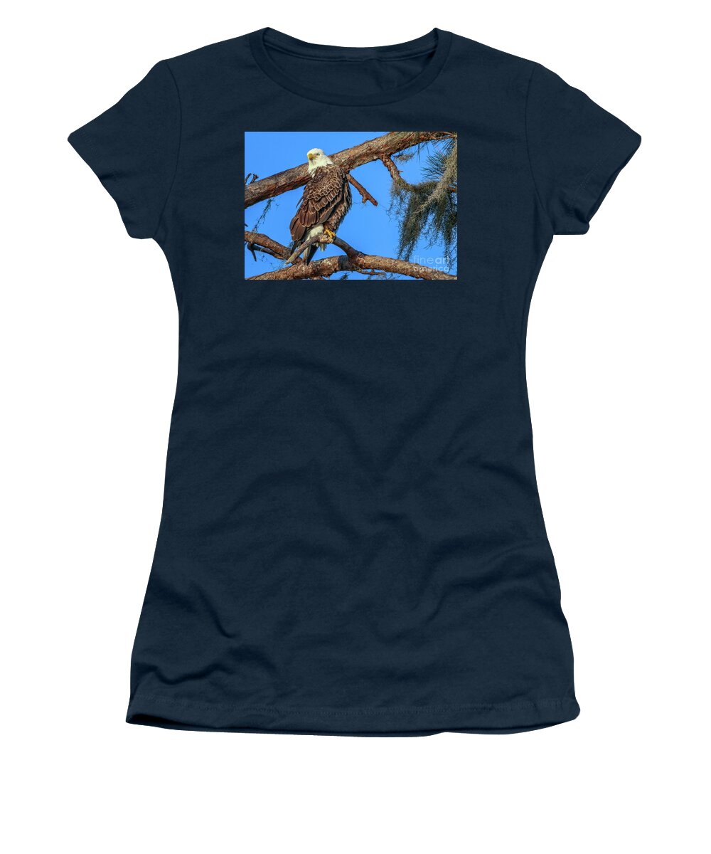 Eagle Women's T-Shirt featuring the photograph Lookout Eagle by Tom Claud