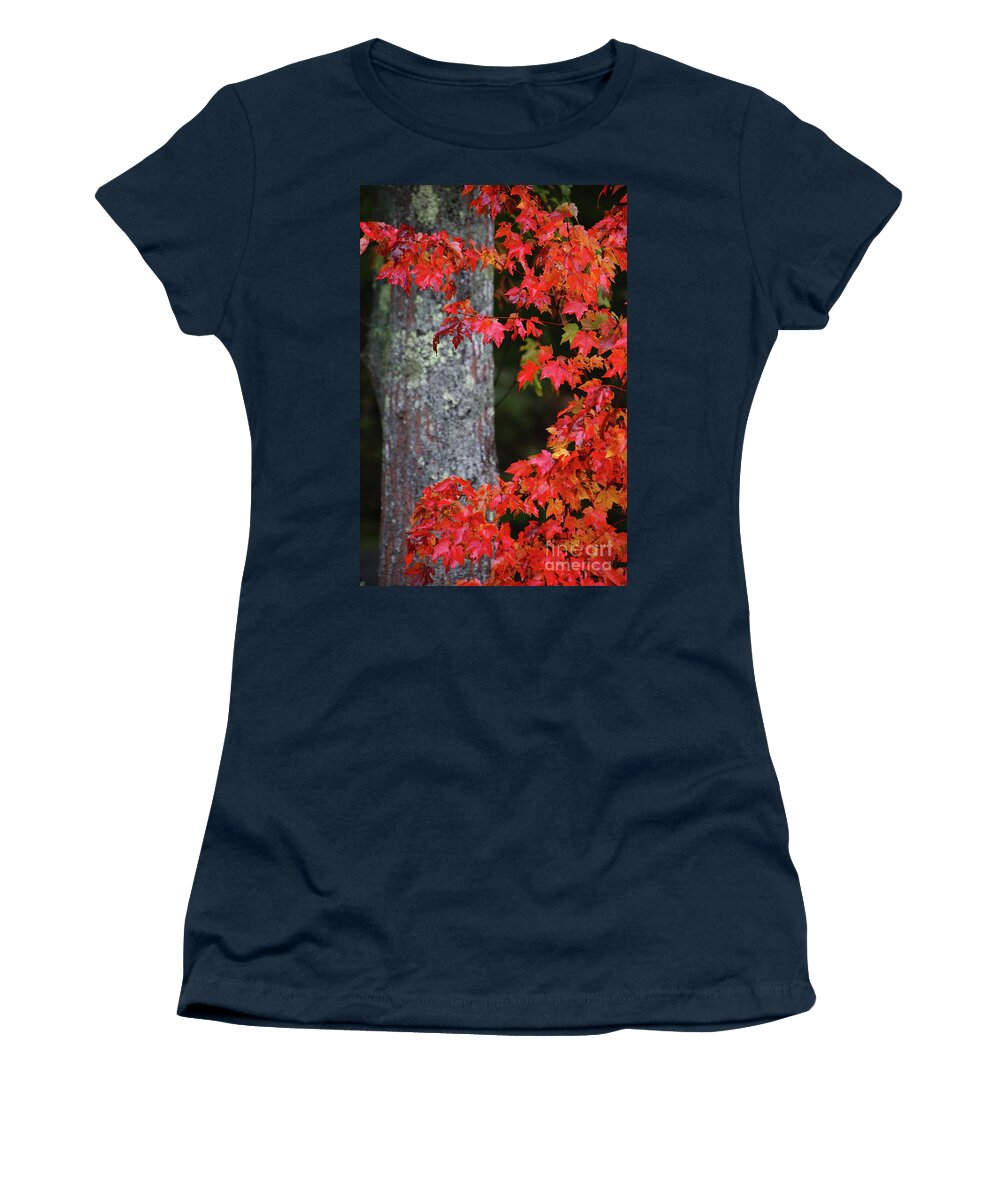 Maine Fall Colors Women's T-Shirt featuring the photograph Maine in the Fall by Terri Brewster