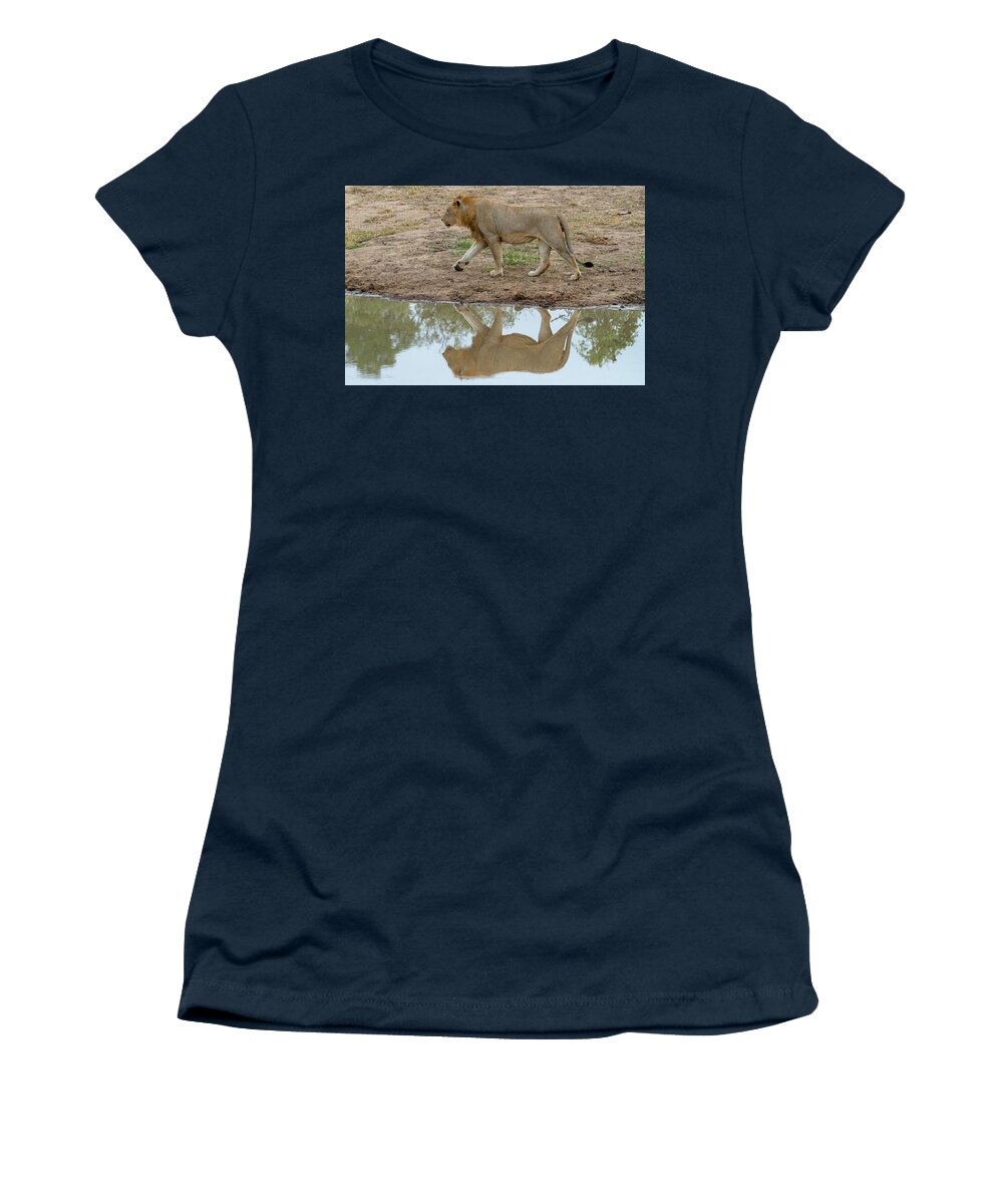 Lion Women's T-Shirt featuring the photograph Male lion and his reflection by Mark Hunter
