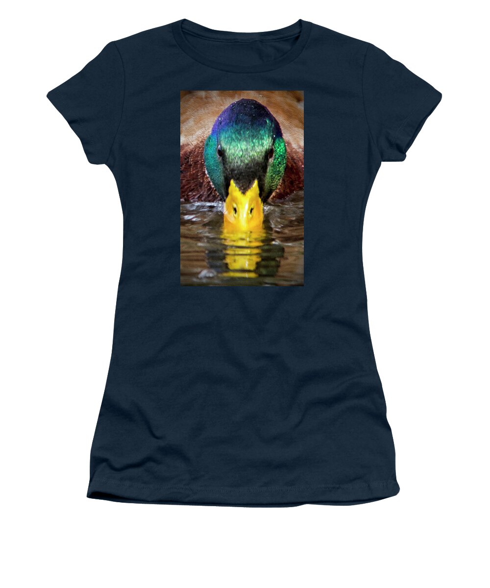 Mallard Women's T-Shirt featuring the photograph Mallard Duck by Bob Decker