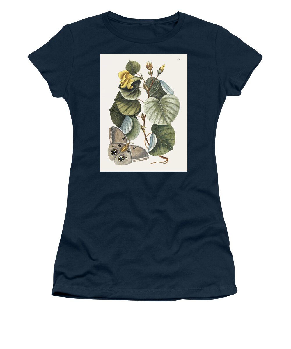 Flower Women's T-Shirt featuring the painting Mano Tree Ketmia from The natural history of Carolina, Florida, and the Bahama Islands 1754 by M by Mark Catesby