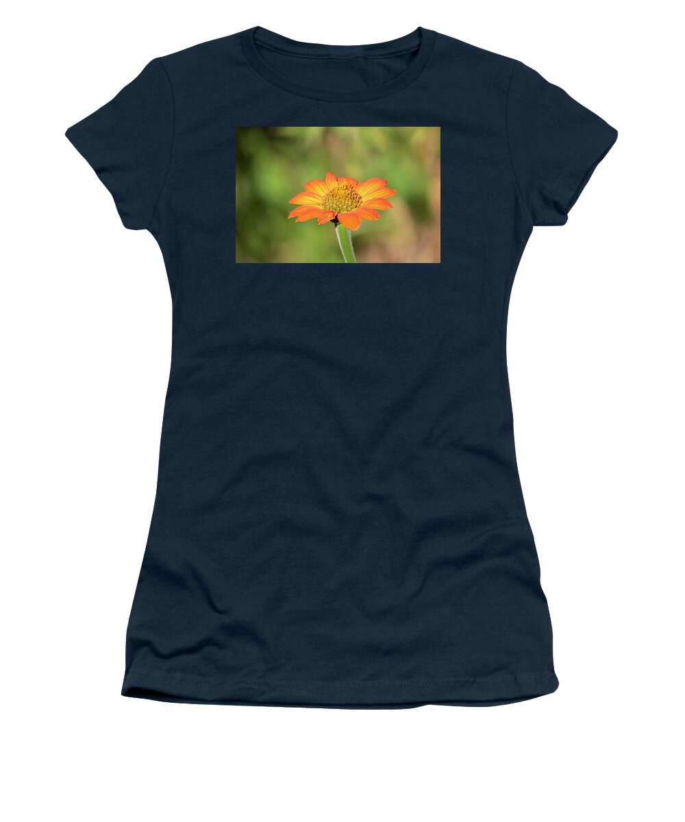 Mexican Sunflower Women's T-Shirt featuring the photograph Mexican Sunflower 2018-1 by Thomas Young