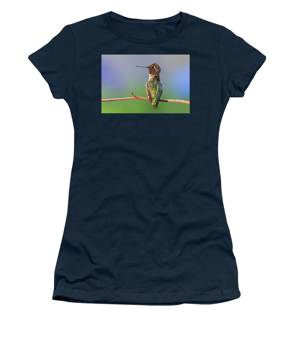 Animal Women's T-Shirt featuring the photograph Midsummer Night's Dream V - Male Anna's Hummingbird by Briand Sanderson