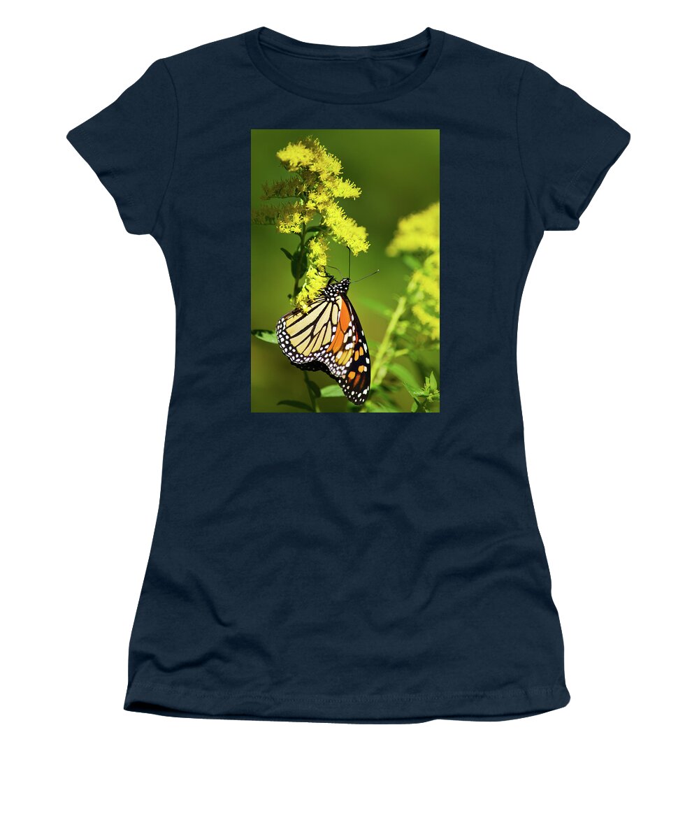 Monarch Butterfly Women's T-Shirt featuring the photograph Migrating Monarch Butterfly by Christina Rollo