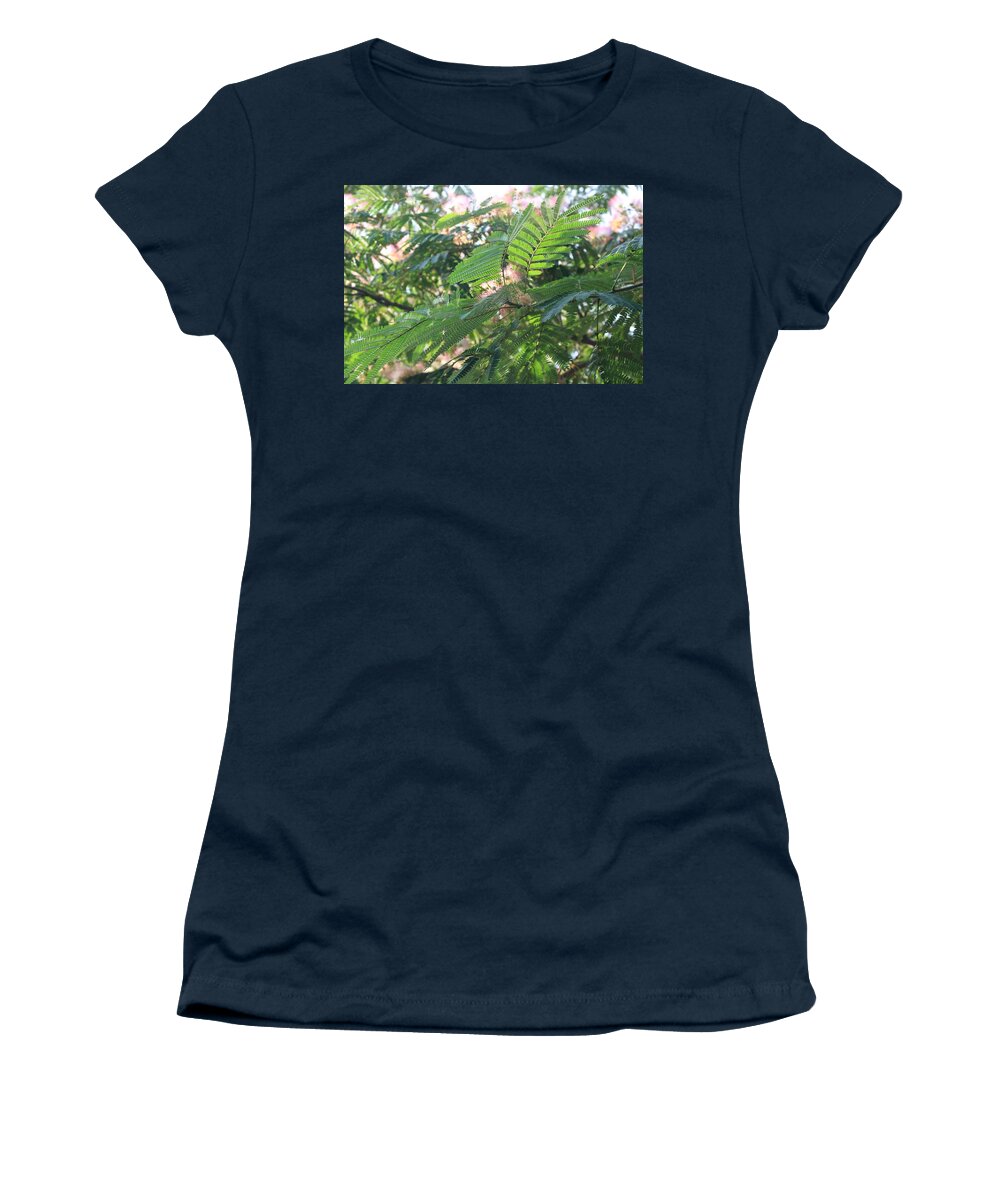 Mimosa Tree Women's T-Shirt featuring the photograph Mimosa Tree Blooms and Fronds by Christopher Lotito