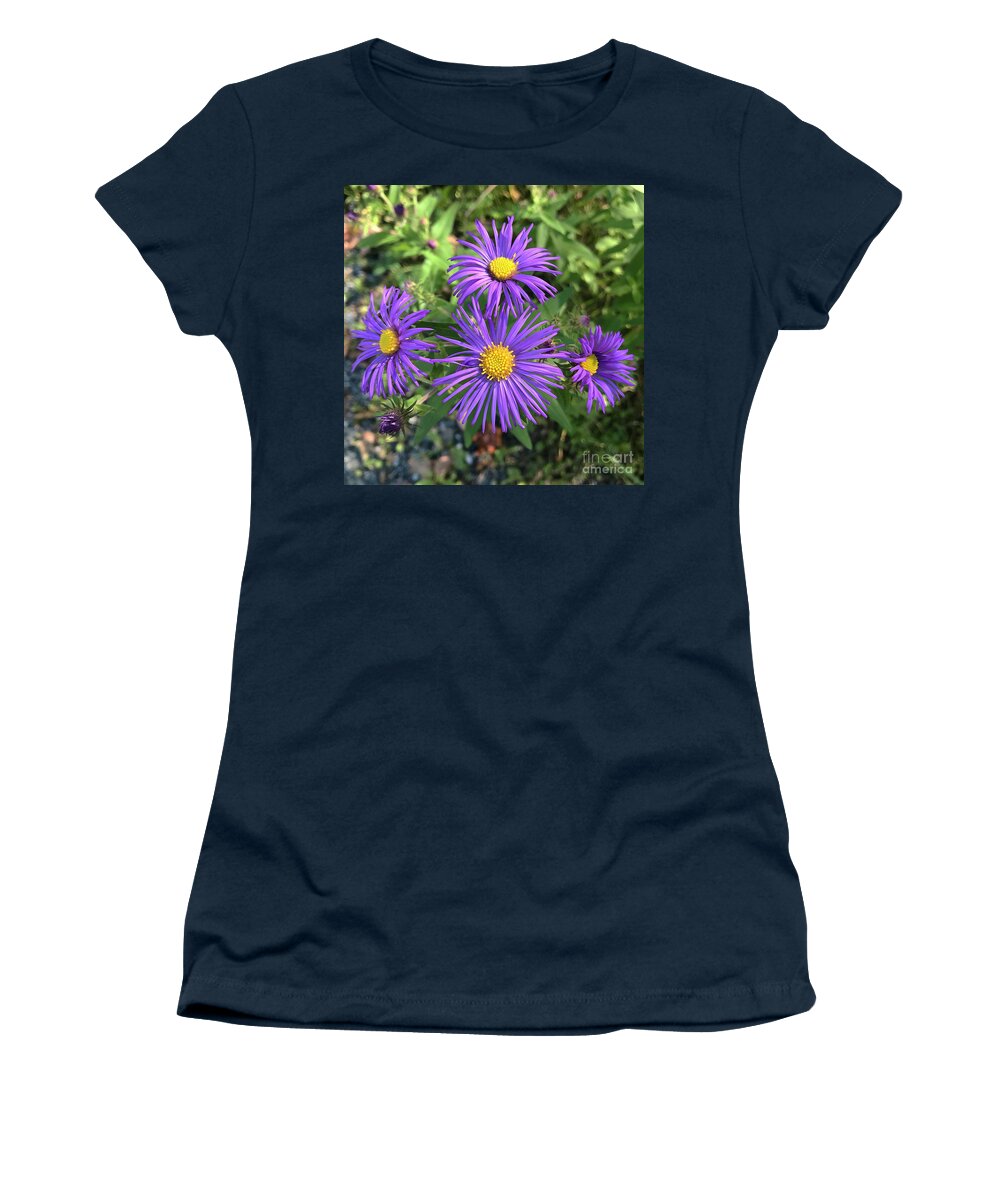 New England Aster Women's T-Shirt featuring the photograph New England Aster 6 by Amy E Fraser