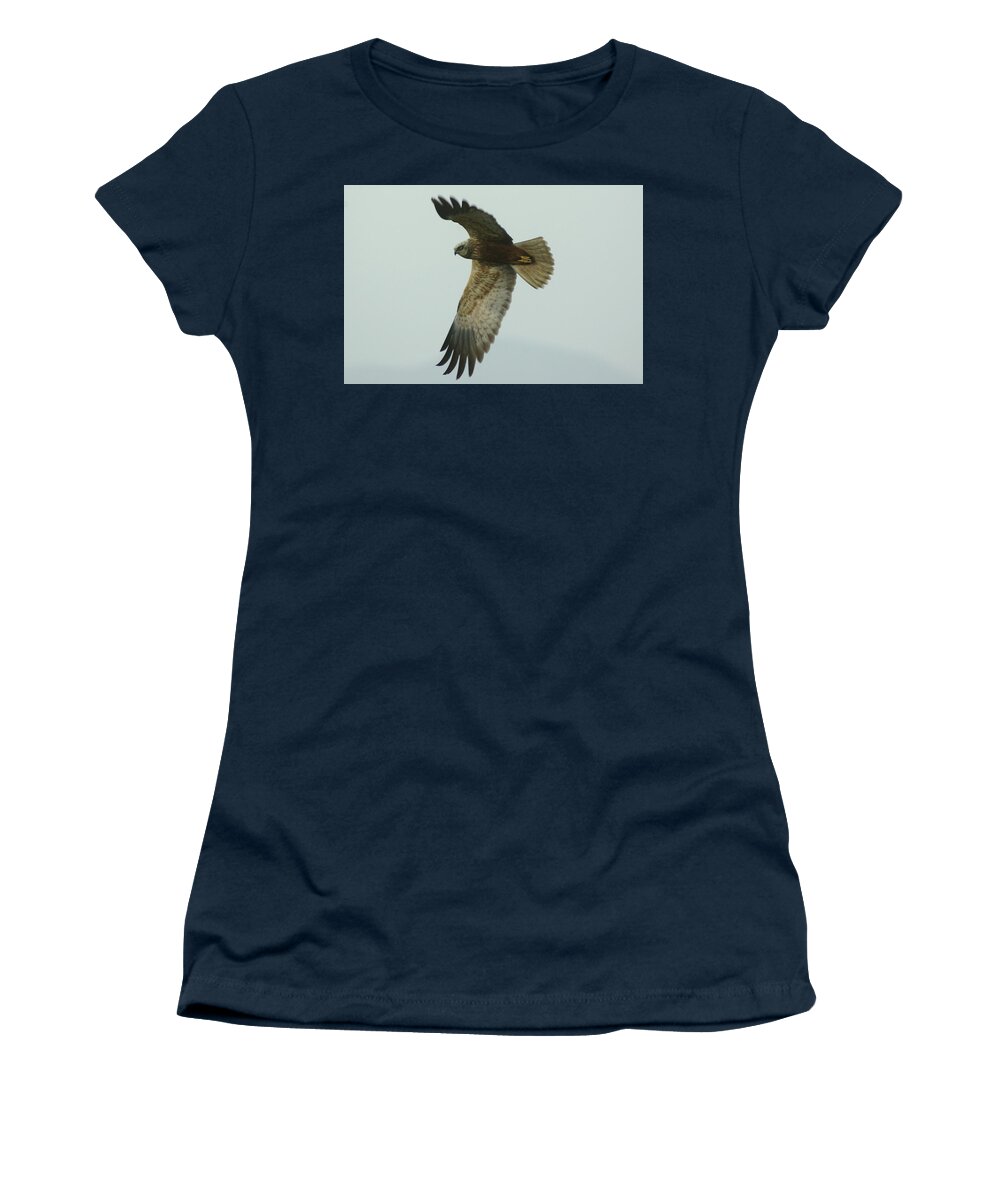 Rapace Women's T-Shirt featuring the photograph Nibbio by Simone Lucchesi