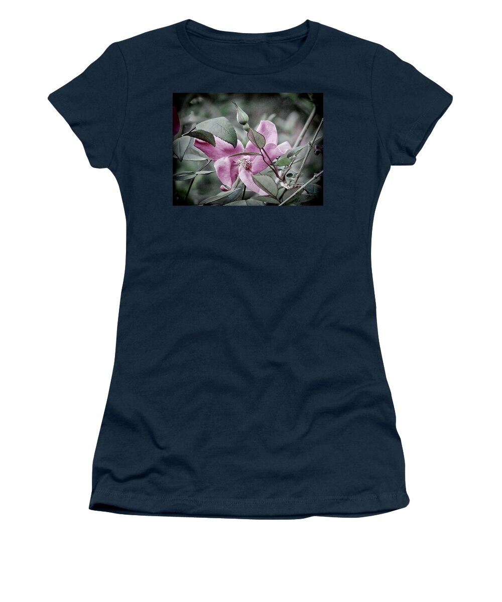 Rose Women's T-Shirt featuring the photograph Old Fashioned Rose in Pale Pink by Denise Winship