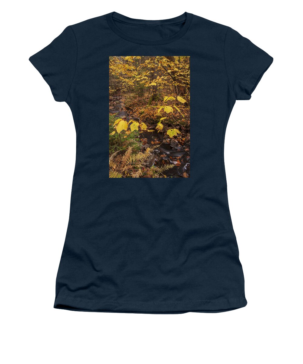 Autumn Women's T-Shirt featuring the photograph On Golden Brook by Irwin Barrett