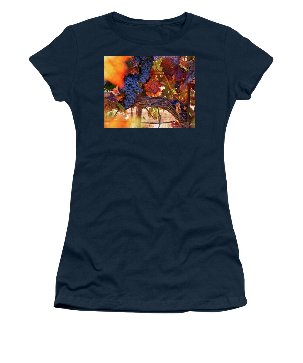 Vine Women's T-Shirt featuring the photograph On the Vine by Steph Gabler