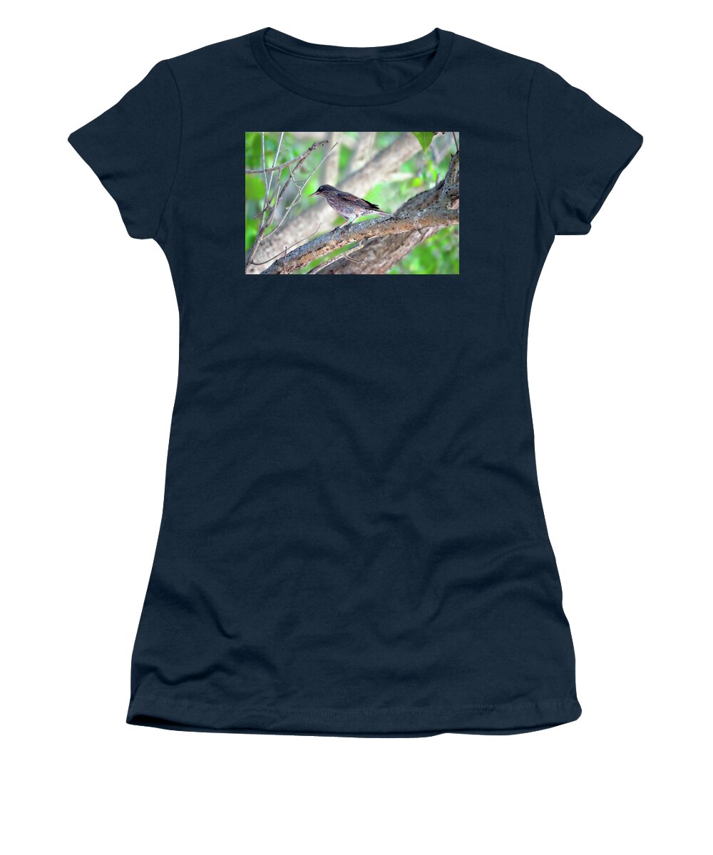 Margarops Fuscatus Women's T-Shirt featuring the photograph Pearly Eyes by Climate Change VI - Sales