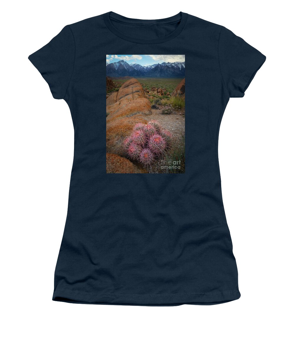 Sunrise Women's T-Shirt featuring the photograph Pink Barrel Cacti by Michael Ver Sprill