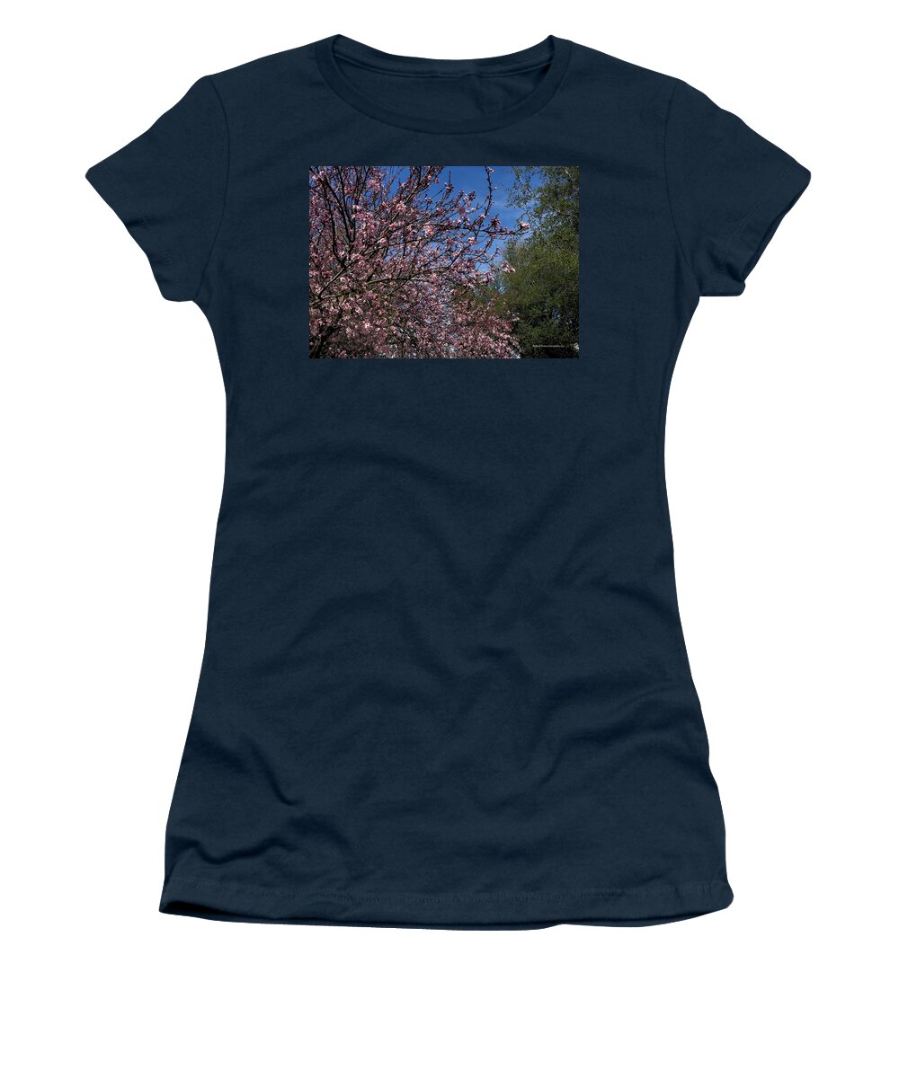 Weather Women's T-Shirt featuring the photograph Pink Blossom Winter by Richard Thomas