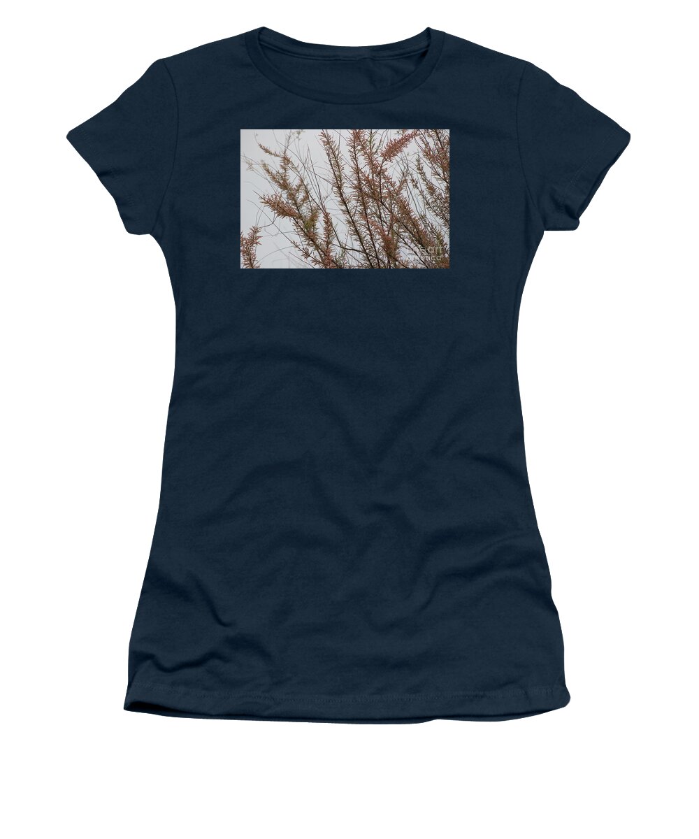 Gray Women's T-Shirt featuring the photograph Pink Chinese Saltcedar On Misty Gray Skies by Colleen Cornelius