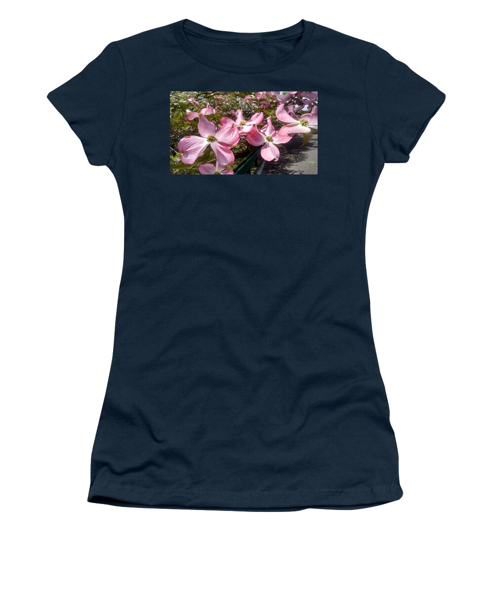 Bloom Women's T-Shirt featuring the photograph Pink Dogwood Blooms by Christopher Lotito