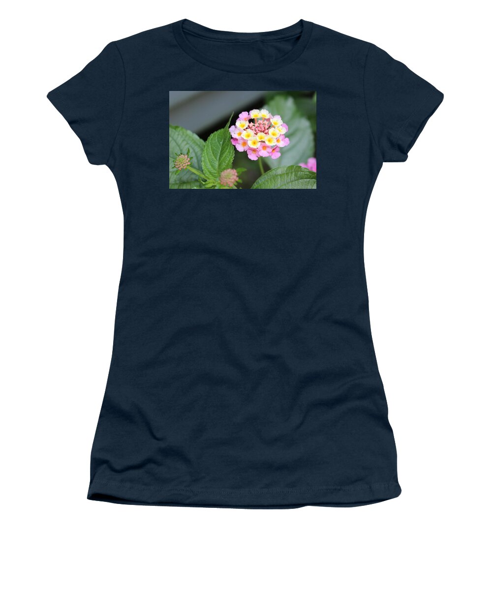 Pink Women's T-Shirt featuring the photograph Pink Lantana by Christopher Lotito
