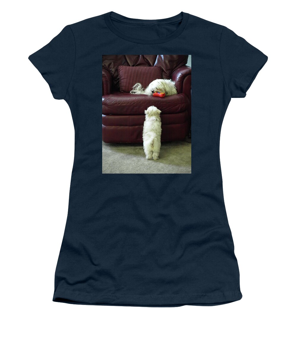 White Women's T-Shirt featuring the photograph Please, Can I by C Winslow Shafer