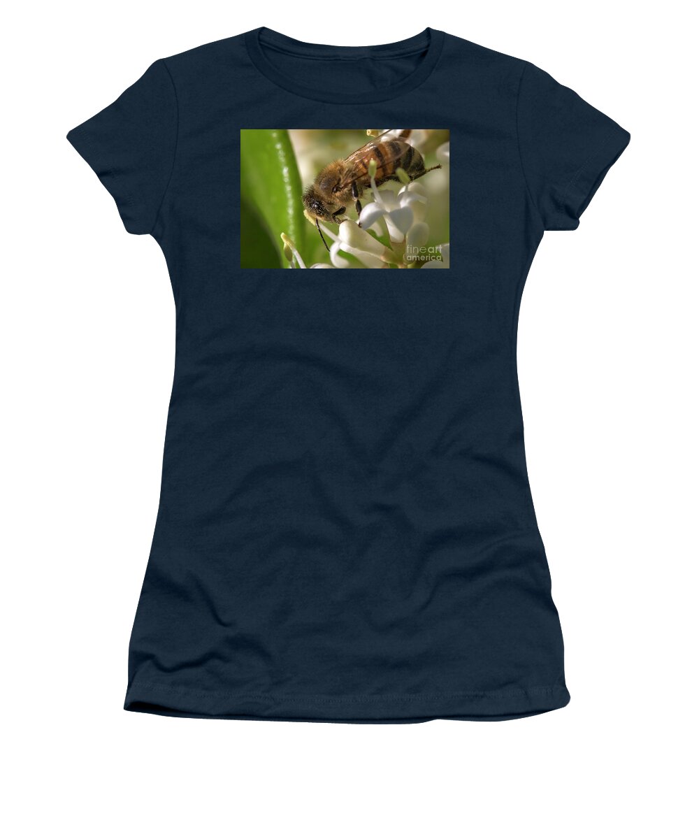 Shawn Jeffries Women's T-Shirt featuring the photograph Pollen Dusting by Shawn Jeffries