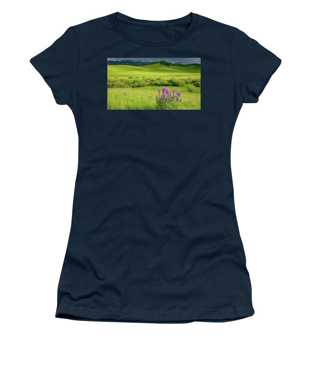 Lupines Women's T-Shirt featuring the photograph Pop of Purple by Marcy Wielfaert