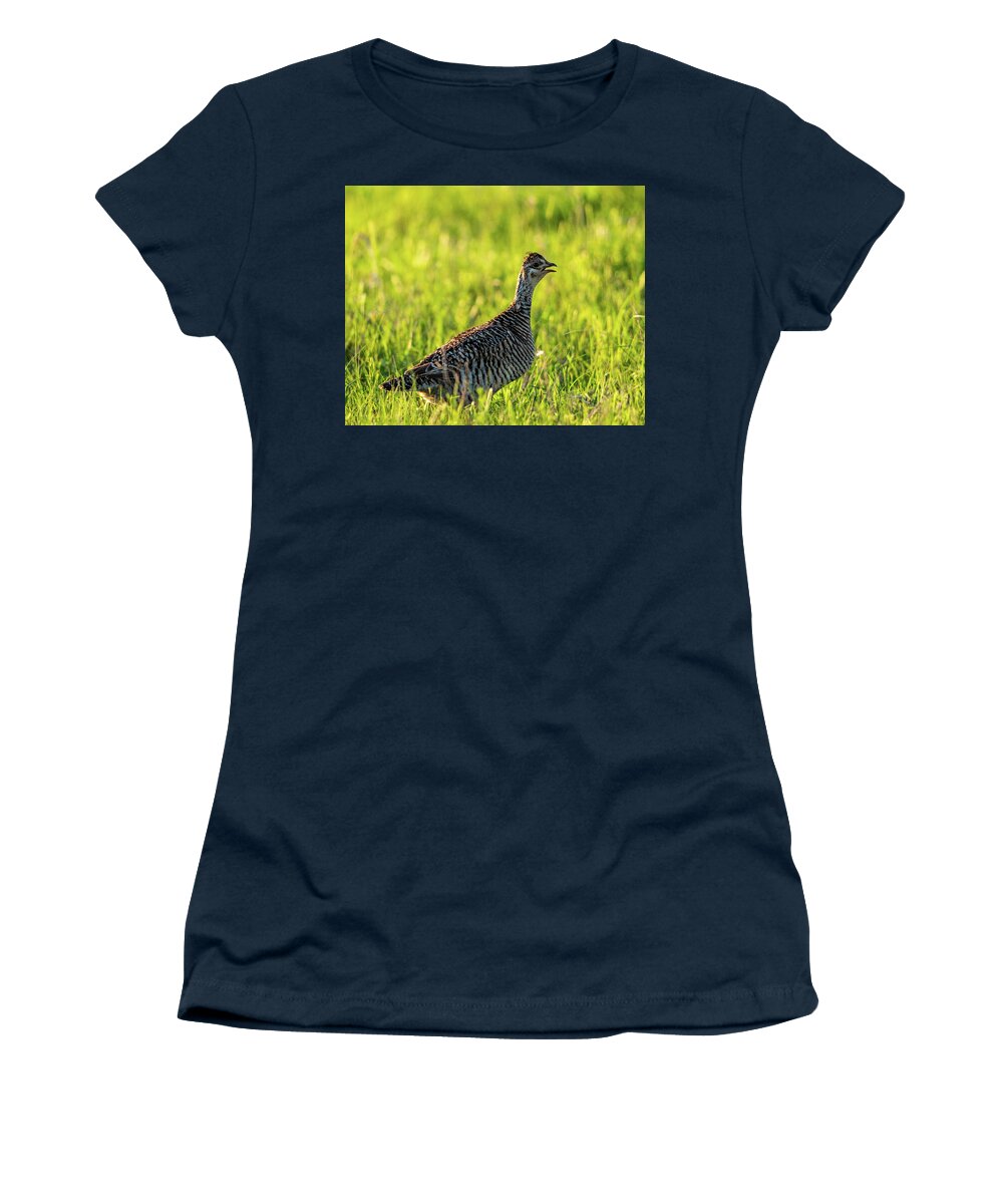 Greater Prairie-chicken (tympanuchus Cupido) Women's T-Shirt featuring the photograph Prairie Chicken Hen by Jeff Phillippi