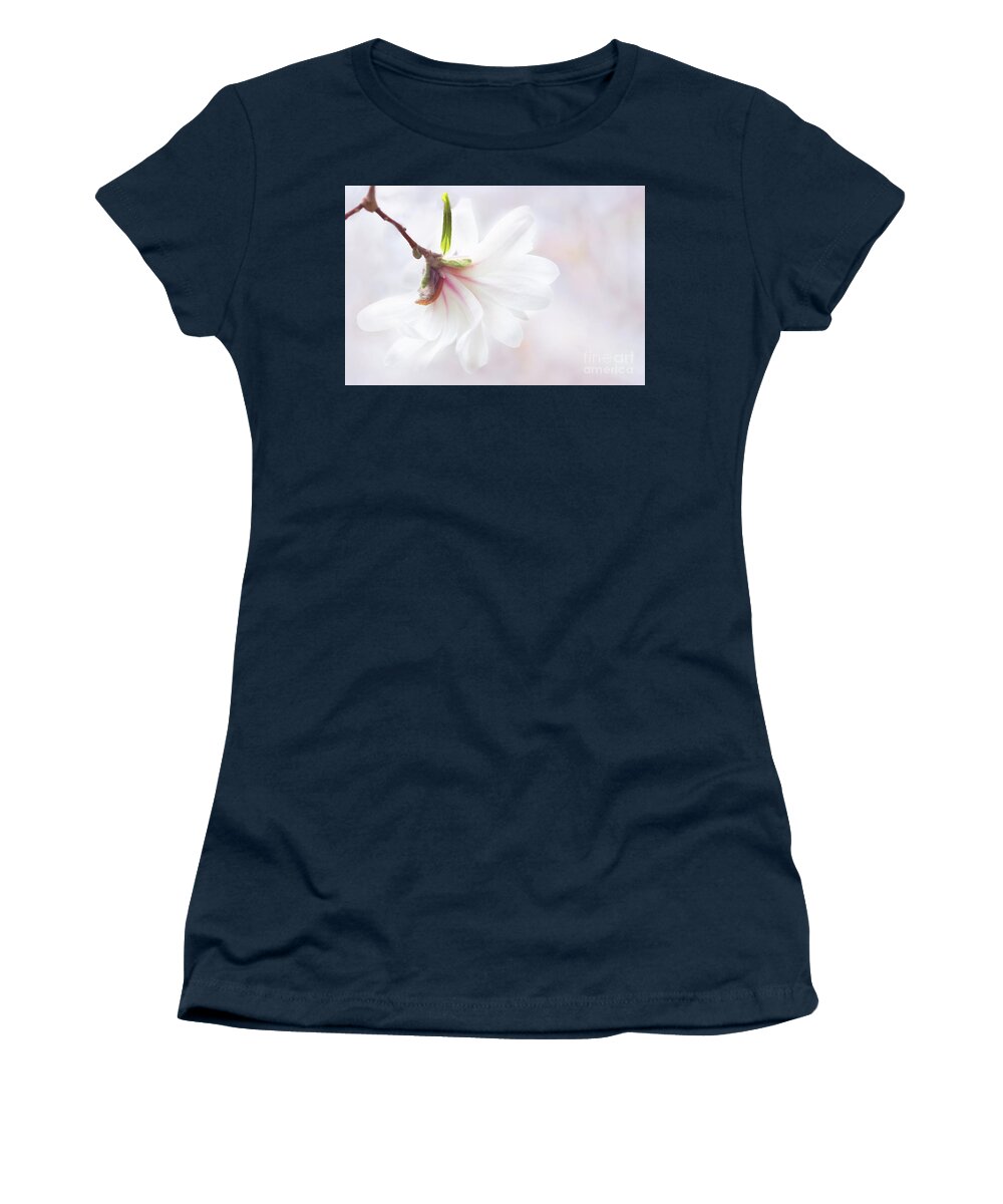 Star Magnolia Women's T-Shirt featuring the photograph Pretty in Pastel Star Magnolia by Anita Pollak