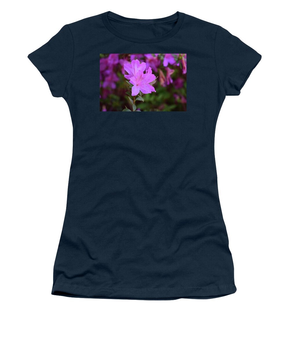 Flowers Women's T-Shirt featuring the photograph Purple Azaleas in Bloom by Nicole Lloyd