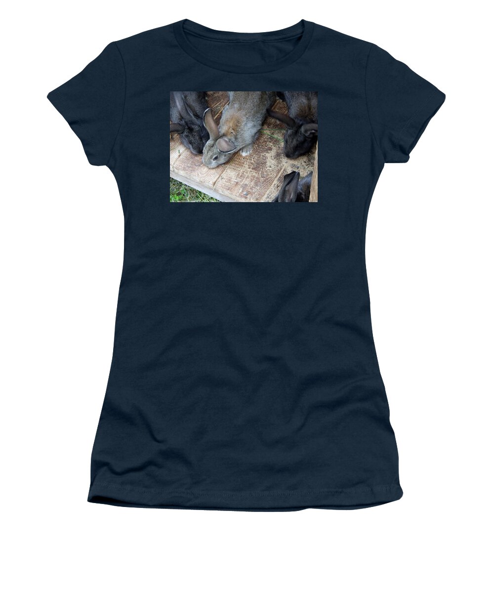 Rabbit Women's T-Shirt featuring the photograph Rabbits in an open-air cage growing on a farm by Oleg Prokopenko