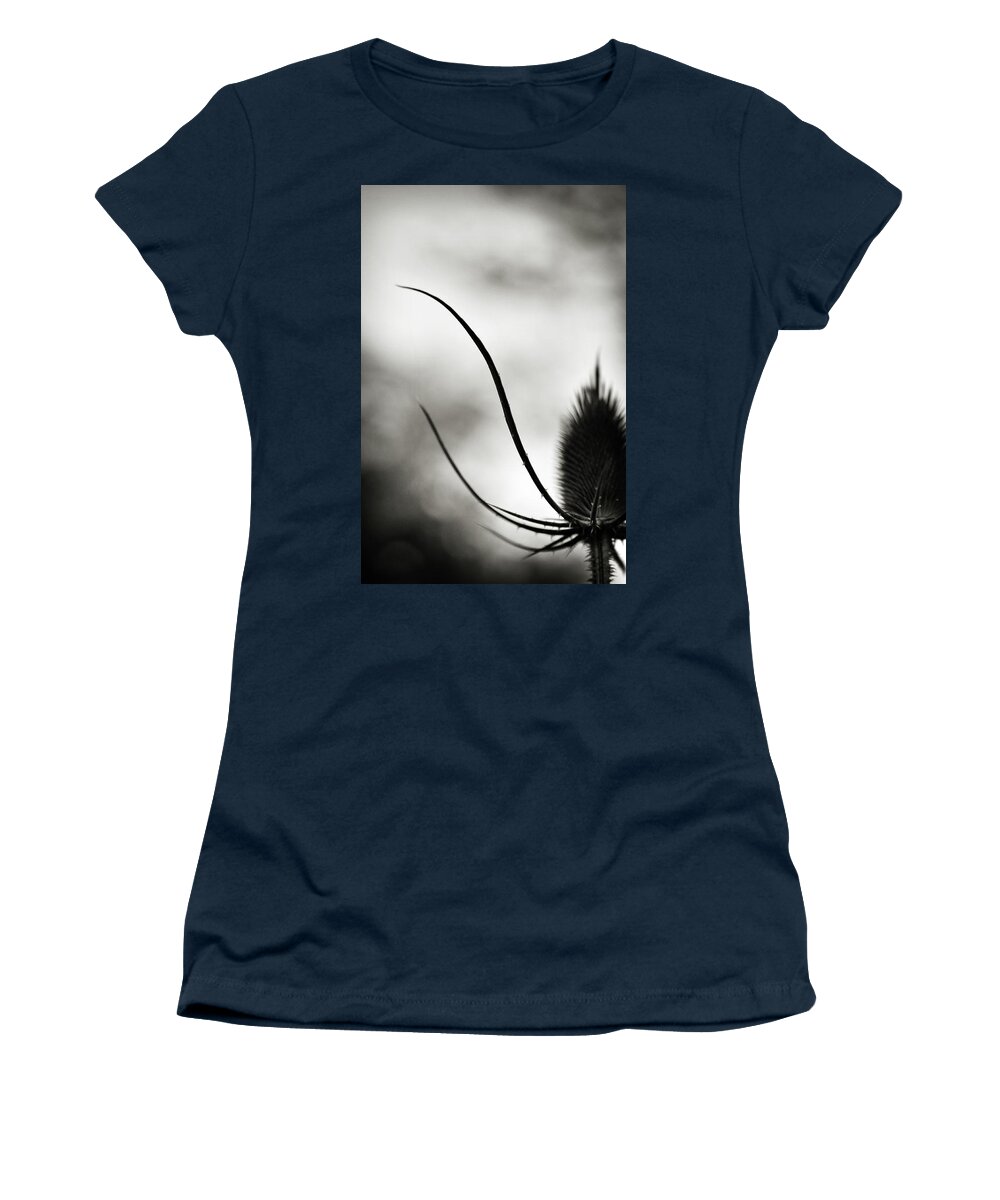 Thistle Women's T-Shirt featuring the photograph Reach up by Michelle Wermuth