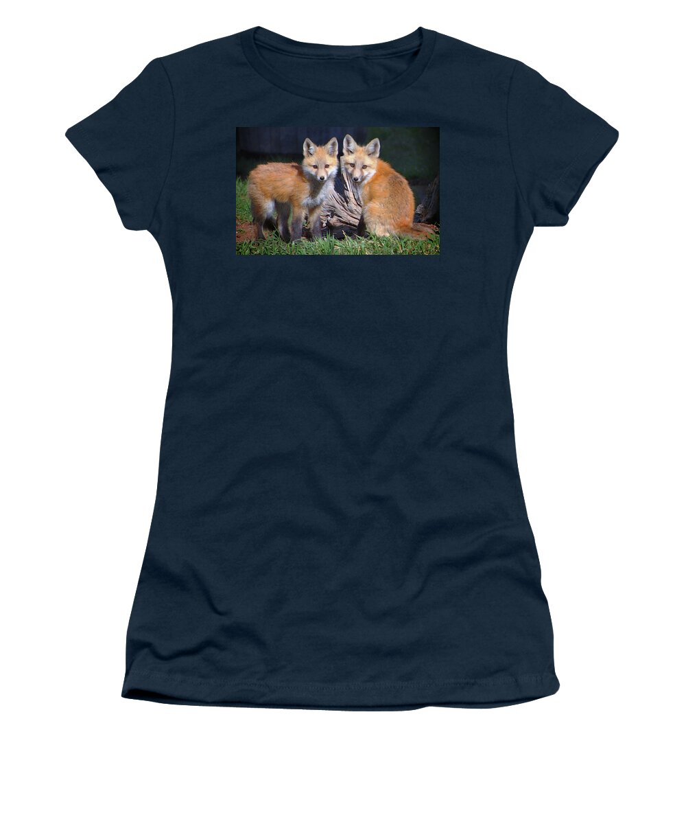 Red Fox Women's T-Shirt featuring the photograph Red Fox Kits by Suzanne Stout