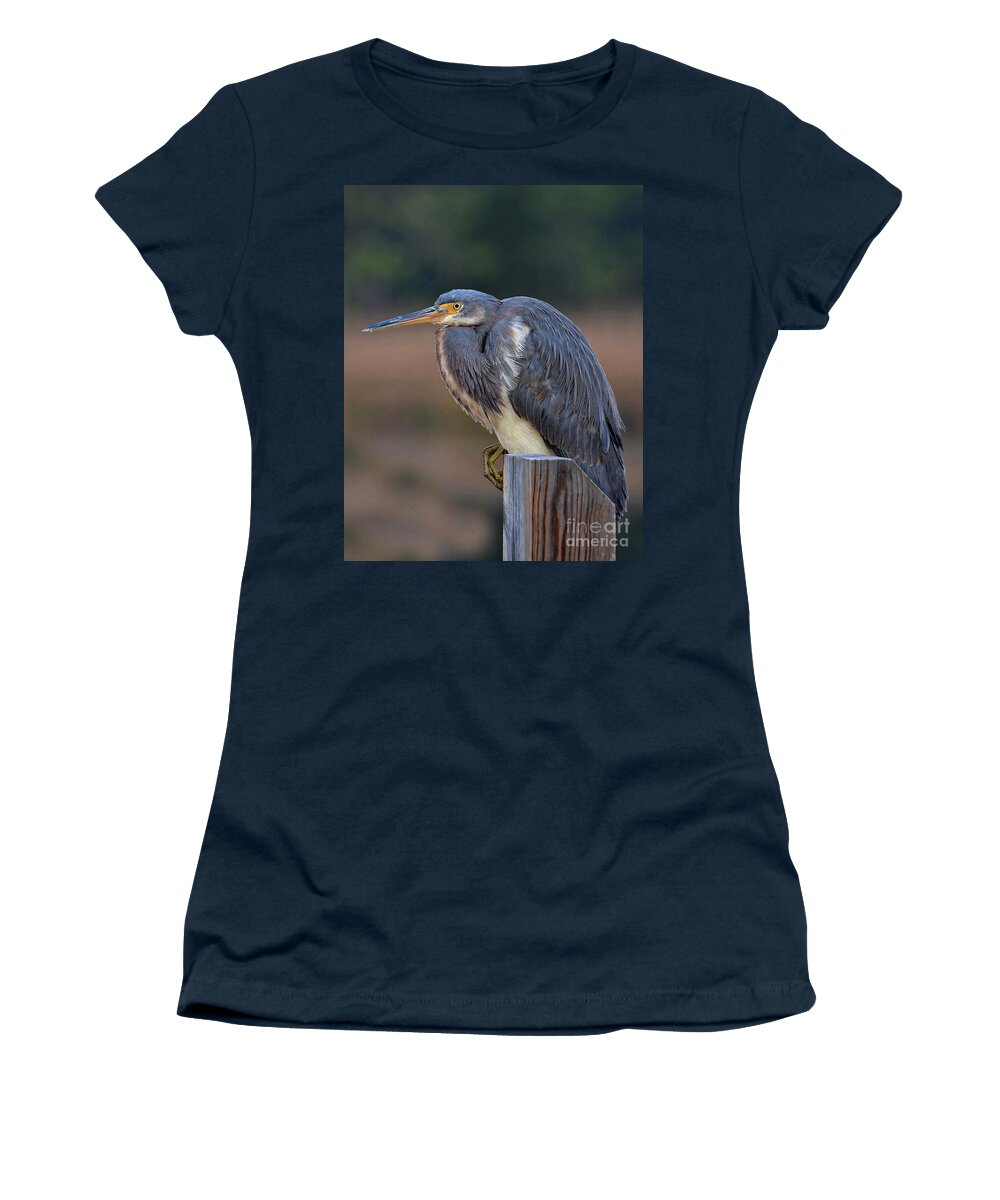 Heron Women's T-Shirt featuring the photograph Resting Great Blue Heron by Kathy Baccari