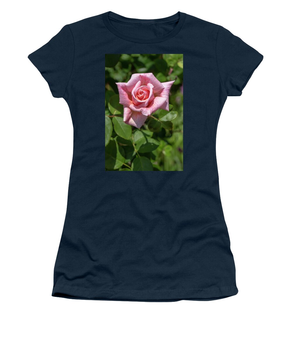 Rose Women's T-Shirt featuring the photograph Rosa Freckles by Dawn Cavalieri