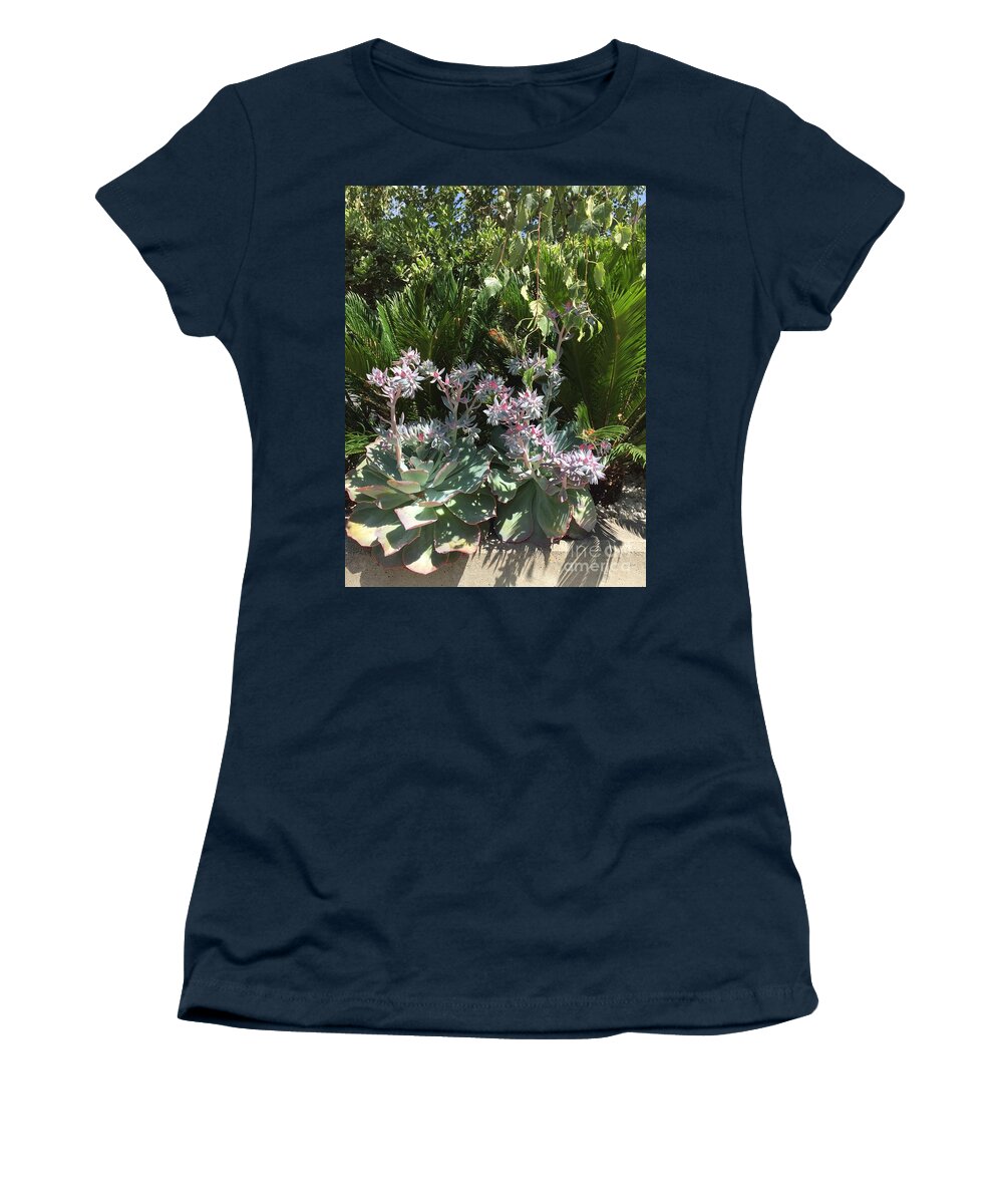 Cactus Women's T-Shirt featuring the photograph Rustic by Cynthia Marcopulos