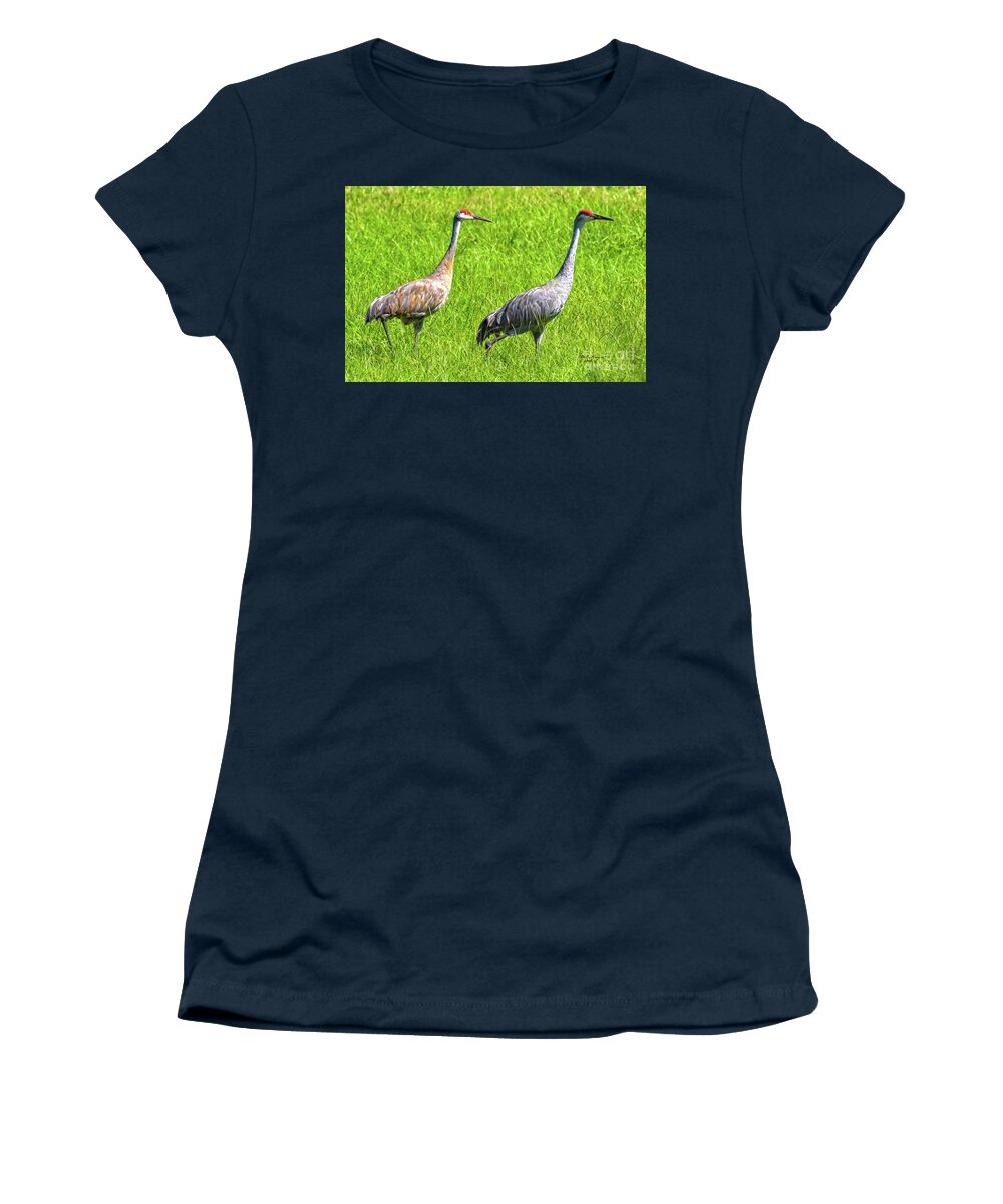 Cranes Women's T-Shirt featuring the photograph Sandhill Crane Mates by DB Hayes