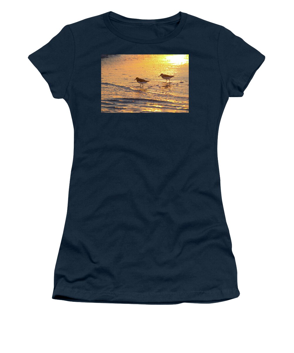 Susan Molnar Women's T-Shirt featuring the photograph Sandpiper Sunset by Susan Molnar