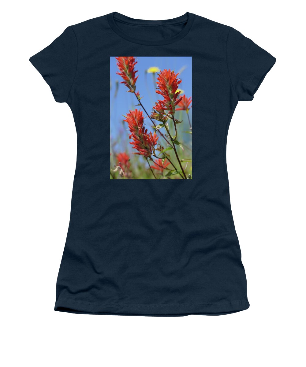 Castilleja Women's T-Shirt featuring the photograph Scarlet Indian paintbrush at Mount St. Helens National Volcanic by Steve Estvanik
