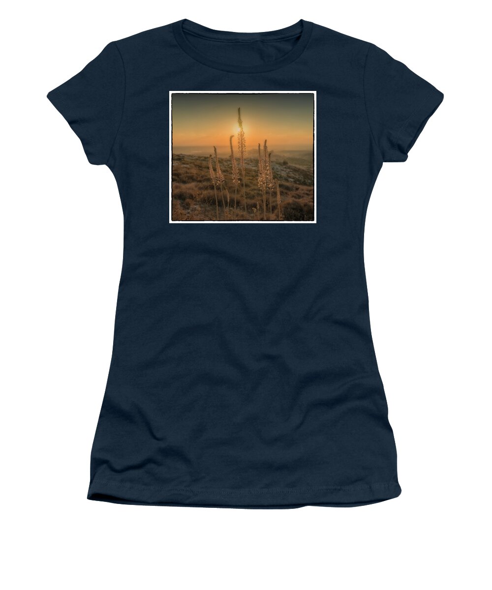 Flowers Women's T-Shirt featuring the photograph Sea Squills at Sunset by Uri Baruch