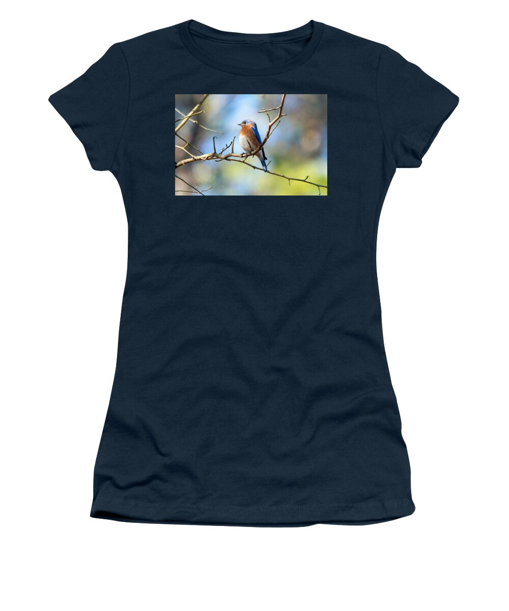 Eastern Bluebird Women's T-Shirt featuring the photograph Serene Bluebird by Mary Ann Artz